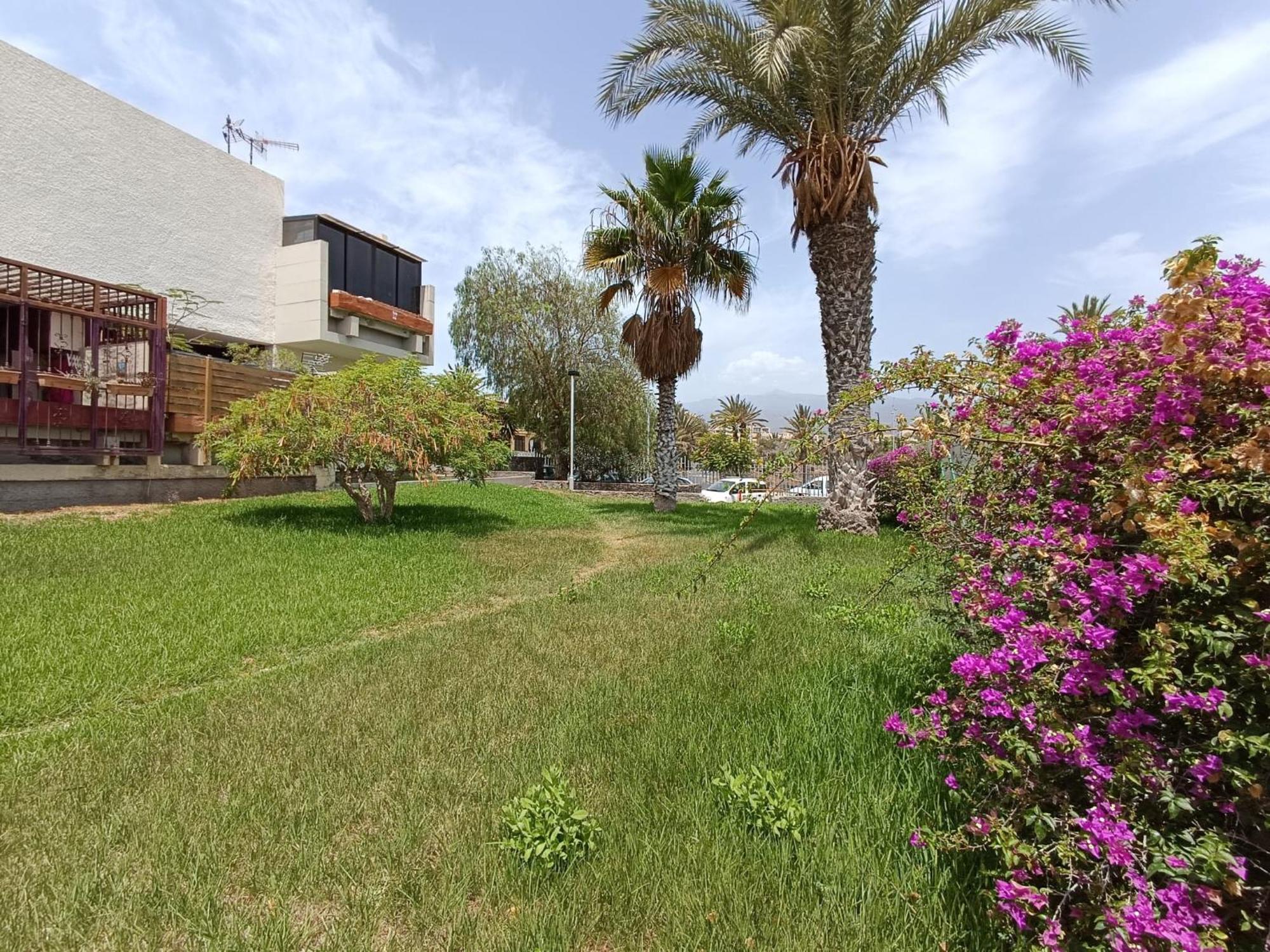 Apartment Tenerife South Coast コスタ・デル・シレンチオ エクステリア 写真